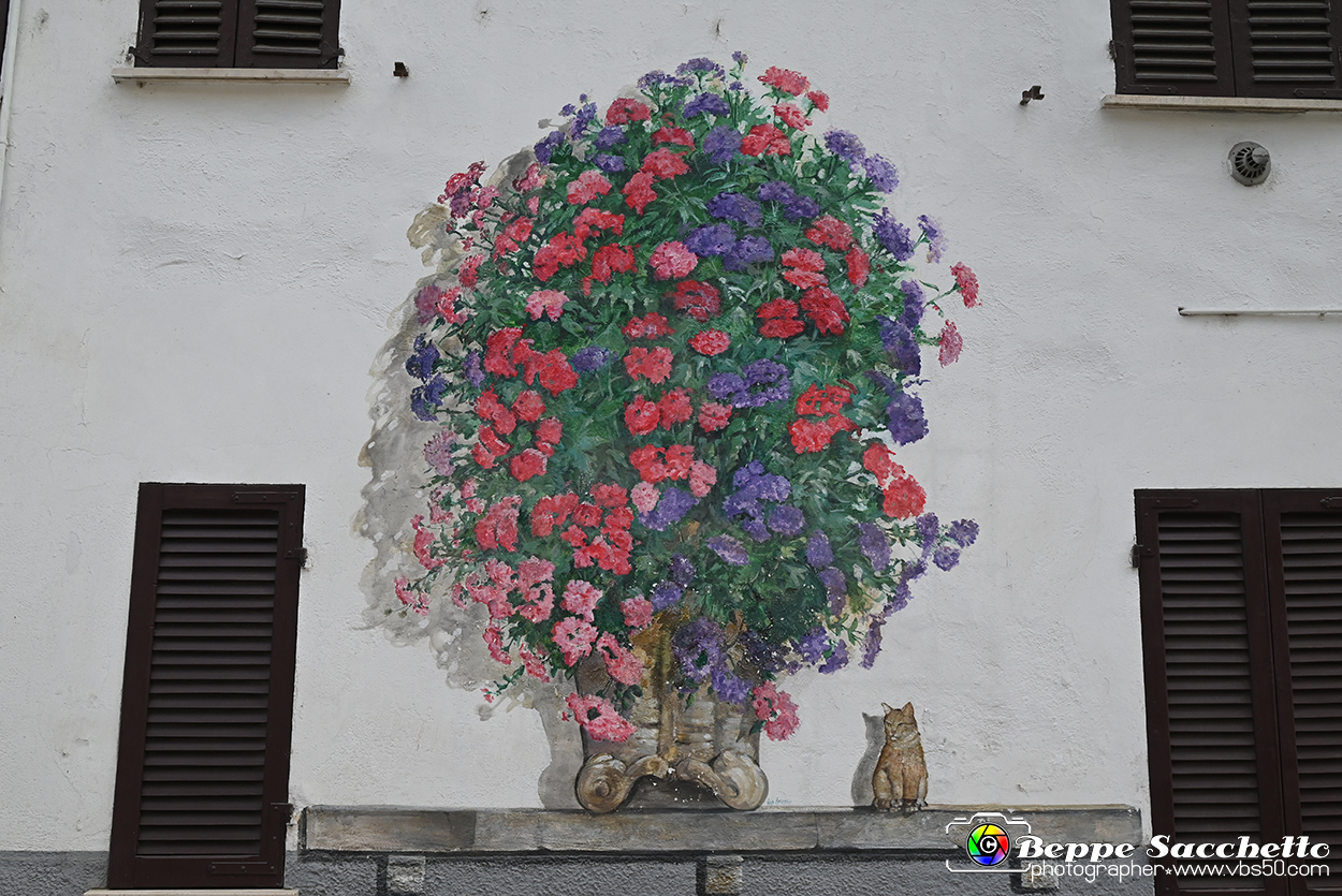 VBS_3717 - Fontanile (Asti) - Murales di Luigi Amerio.jpg